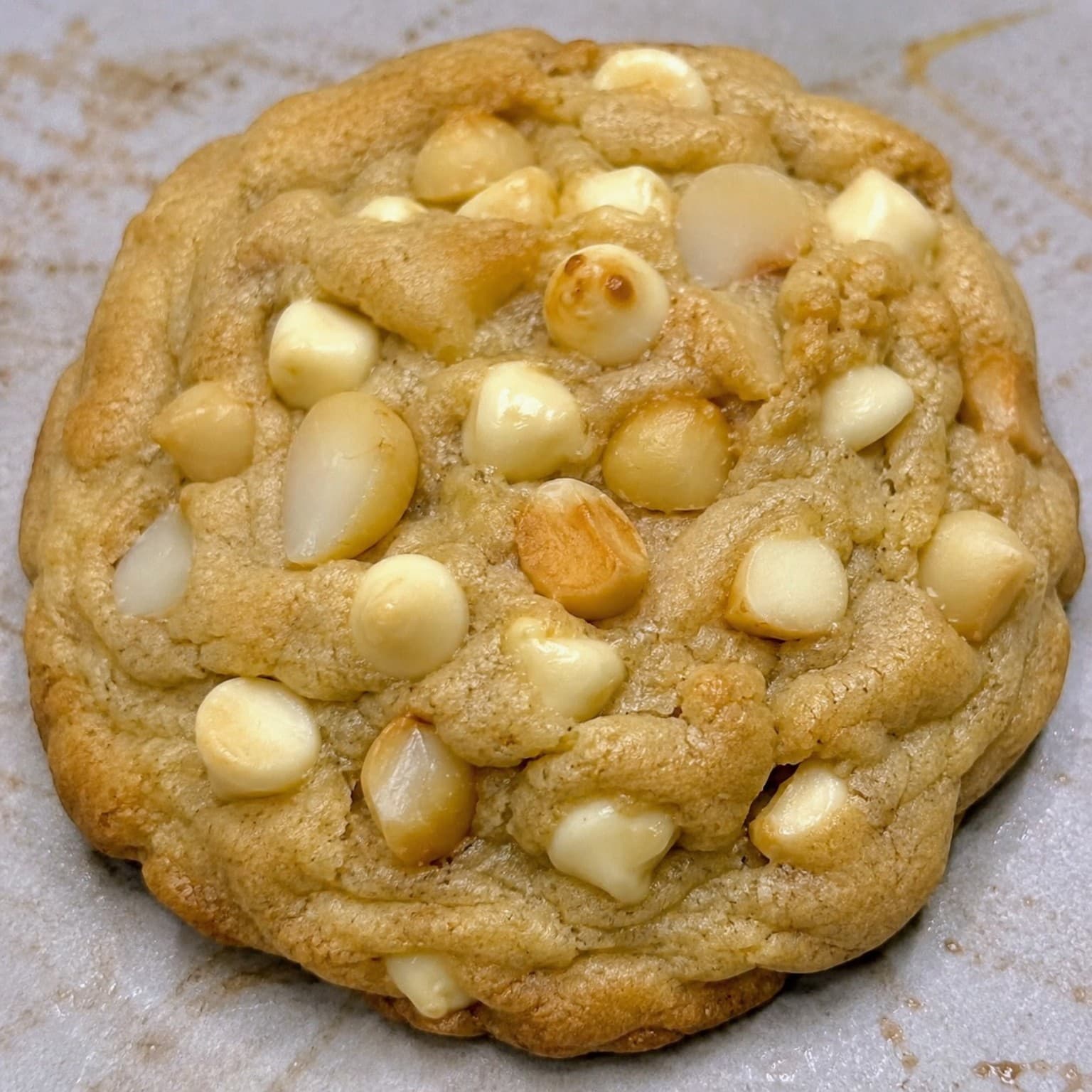 White chocolate macadamia nut cookie filled with white chocolate chips and macadamia nuts